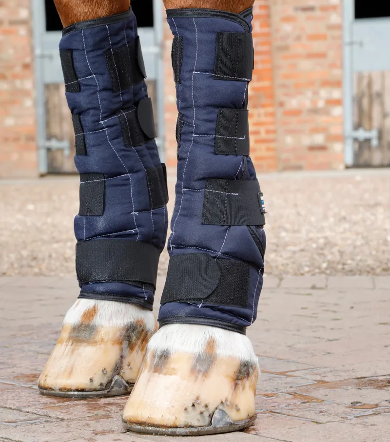 Premier Equine Cold Water Boots in Blue-1