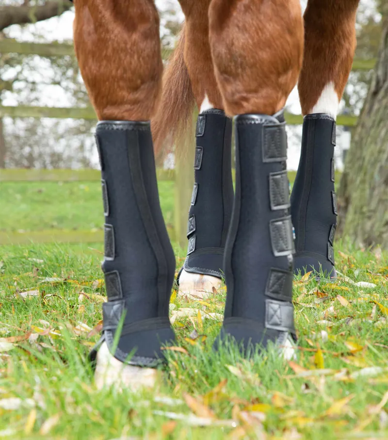Premier Equine Turnout Mud Fever Boots in Black-4