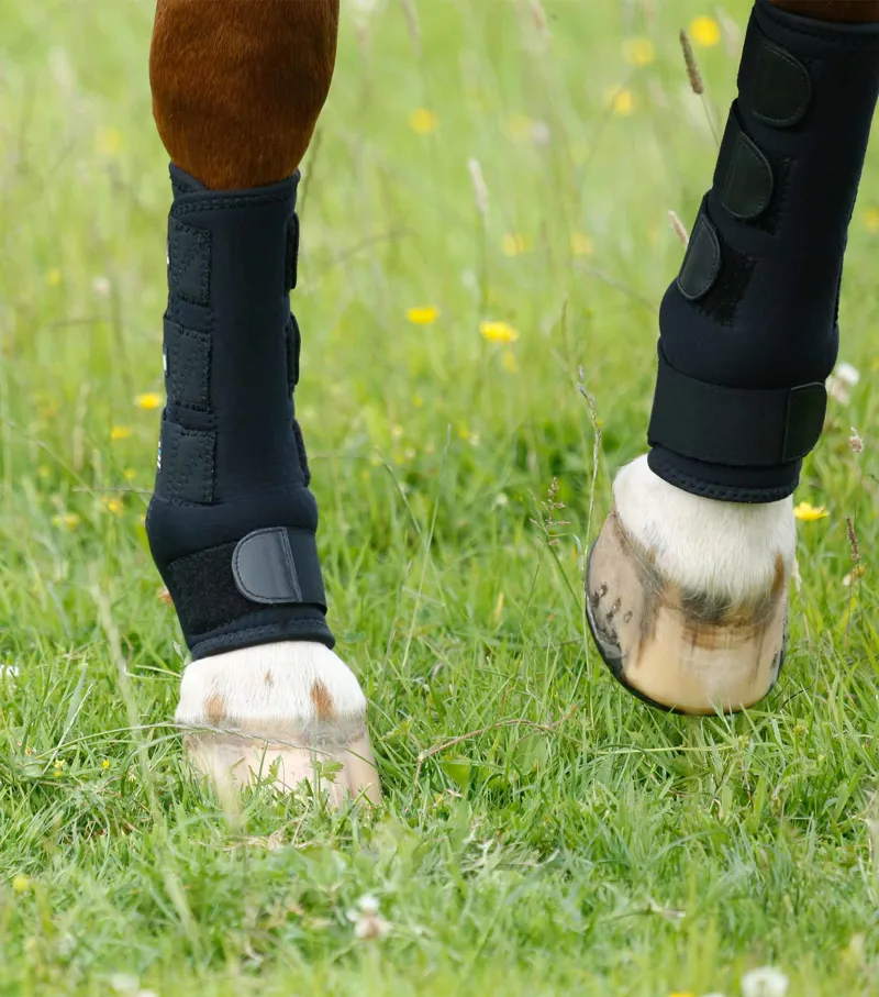 Premier Equine Highly Breathable Turnout Boots in Black-1