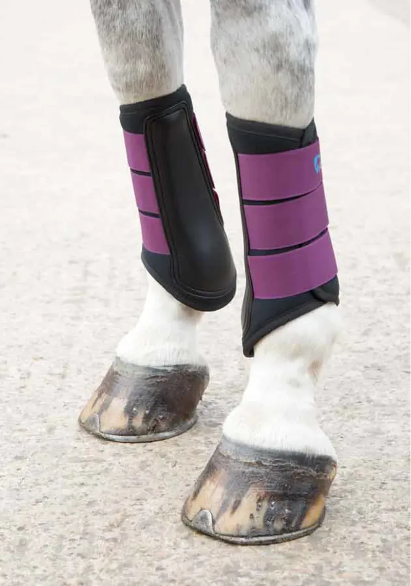 Shires Arma Neoprene Brushing Boots In Plum