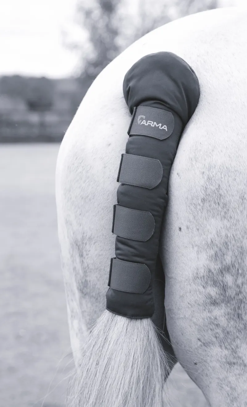 Arma Padded Tail Guard in Black