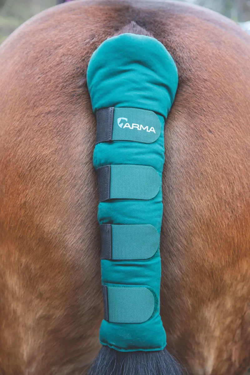 Arma Padded Tail Guard in Green