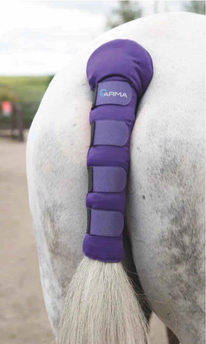 ARMA Padded Tail Guard PURPLE one size