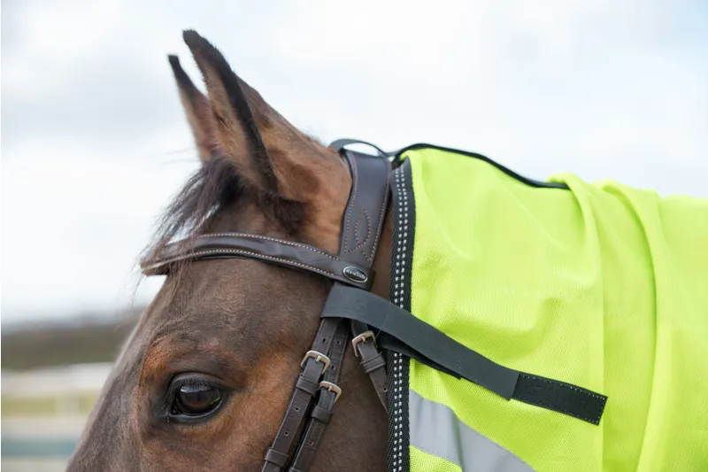 Gallop Ride-On Fly Rug Combo Yellow-2
