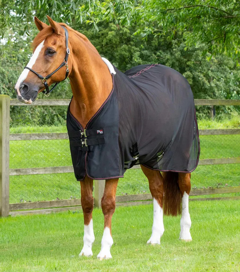 Premier Equine Ventoso Mesh Cooler In Black
