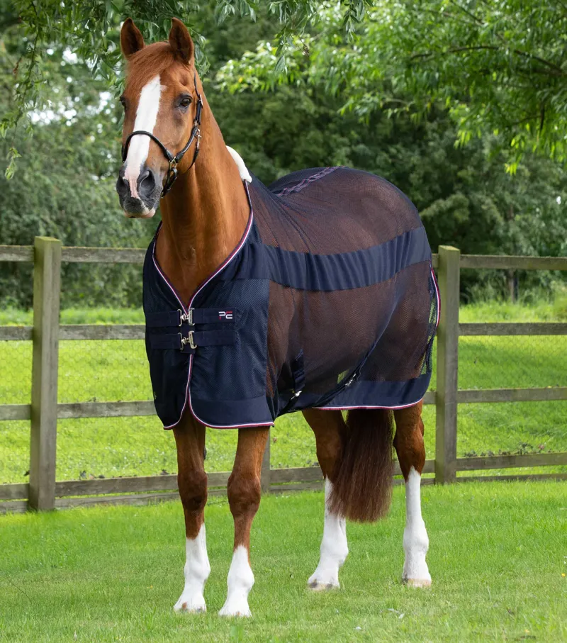 Premier Equine Arisca Scrim Cooler in Navy