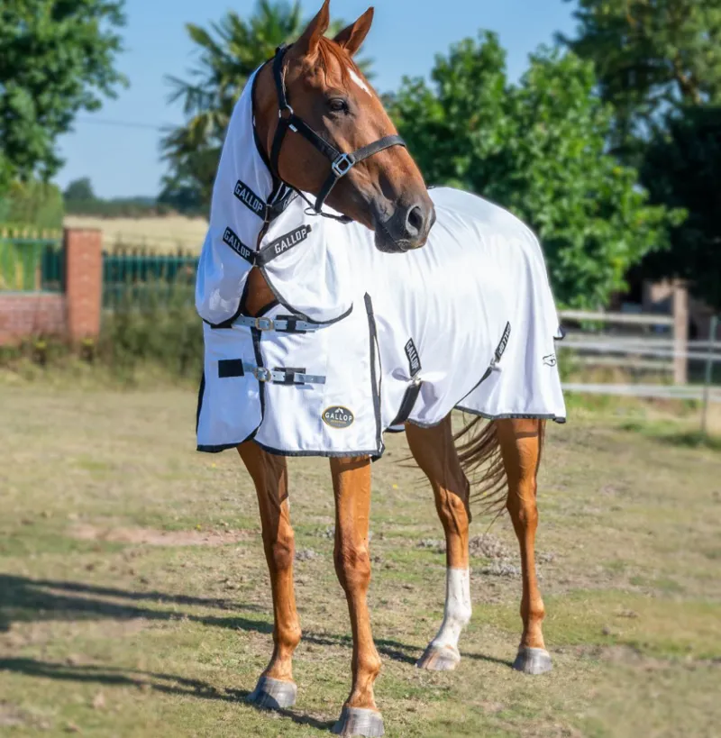 Gallop Essentials Mesh Combo Fly Rug White