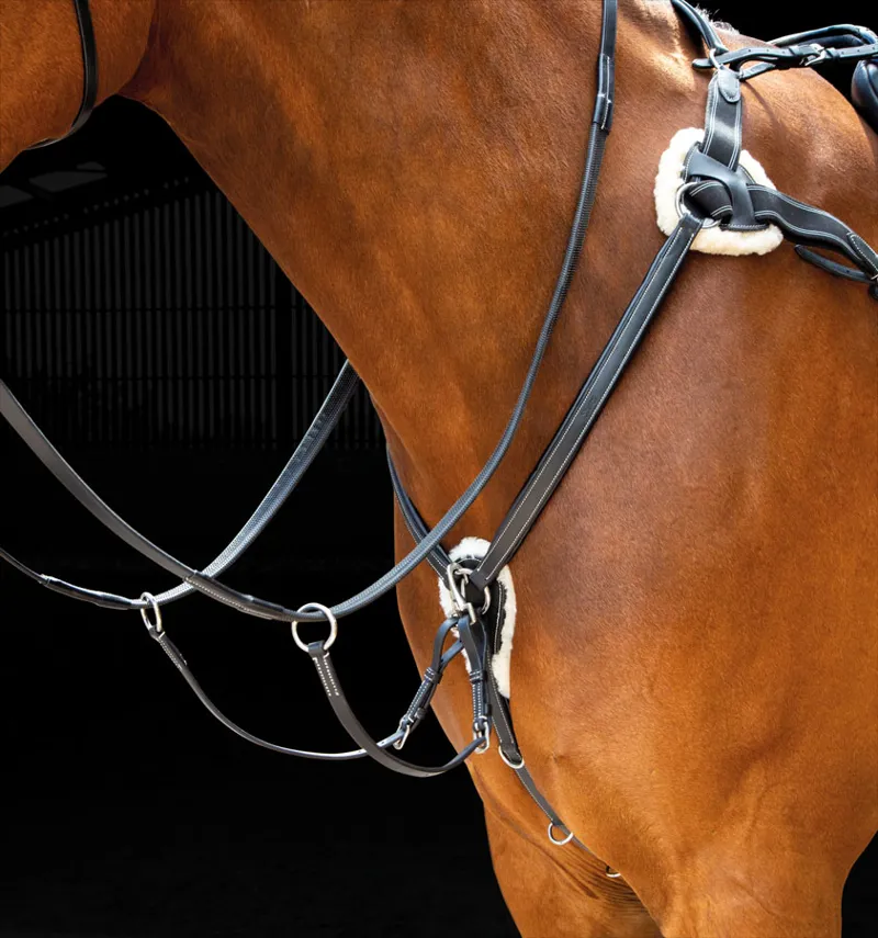 Salisbury Five Point Breastplate BLACK