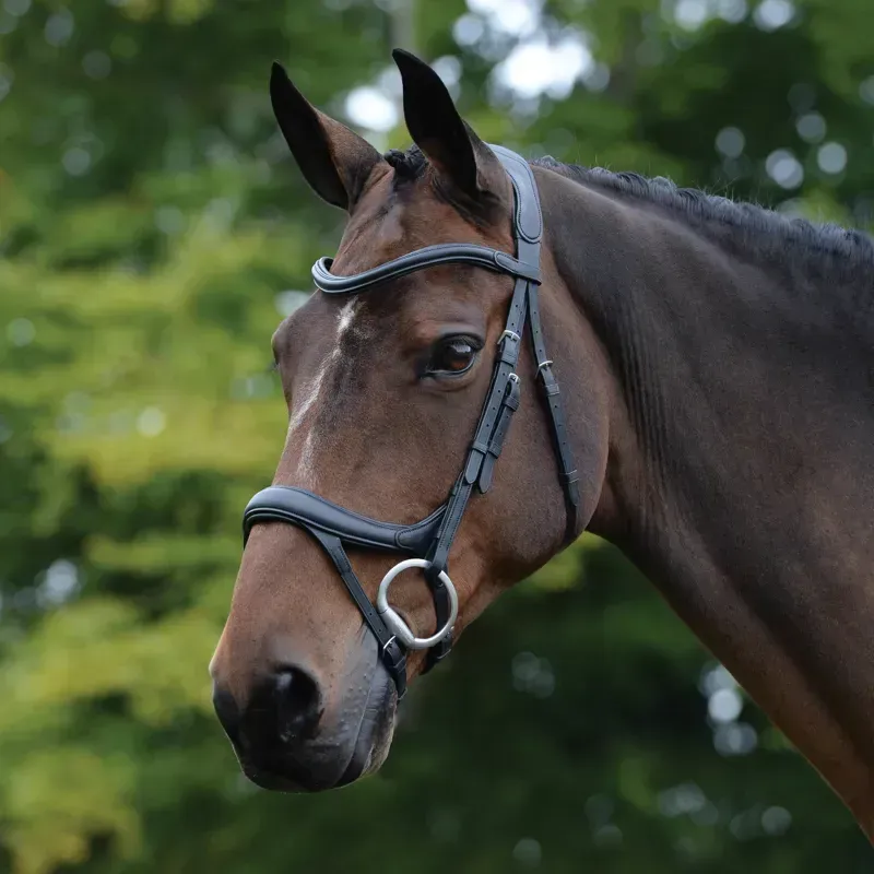 Collegiate ComFiTec Vogue Anatomical Bridle in Black
