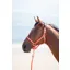 Shires Topaz Pony Nylon Headcollar In Pink