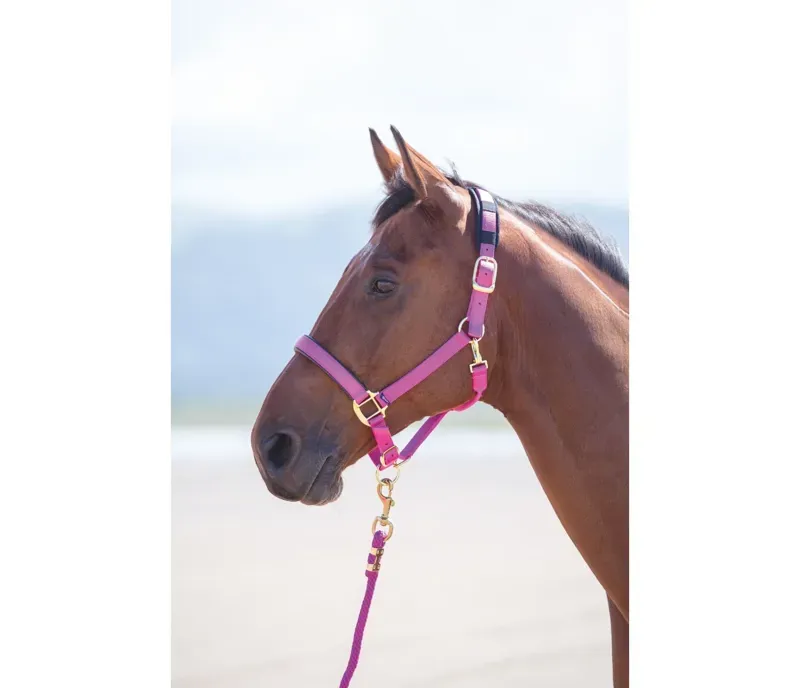 Shires Topaz Pony Nylon Headcollar in Raspberry