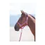 Shires Topaz Pony Nylon Headcollar in Raspberry