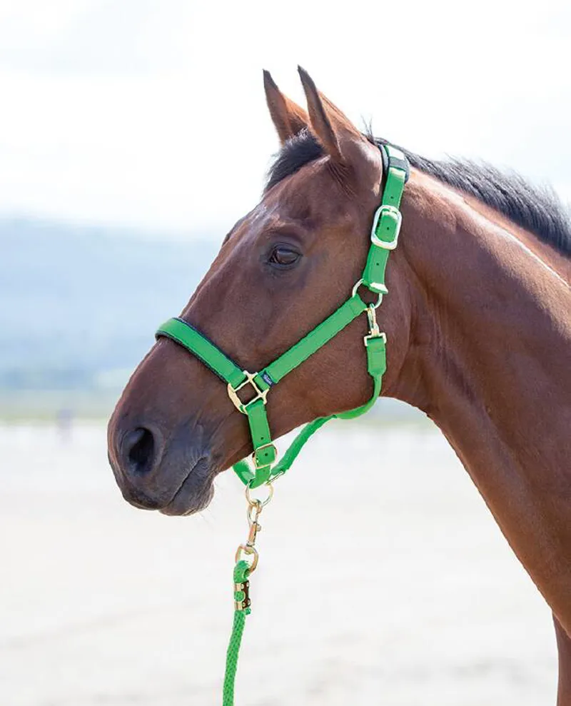 Shires Topaz Pony Nylon Headcollar In Green