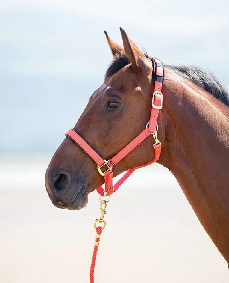 Shires Topaz Pony Nylon Headcollar In Orange