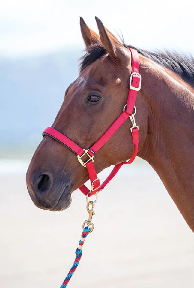 Shires Topaz Pony Nylon Headcollar In Red