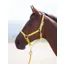 Shires Topaz Full Nylon Headcollar in Yellow
