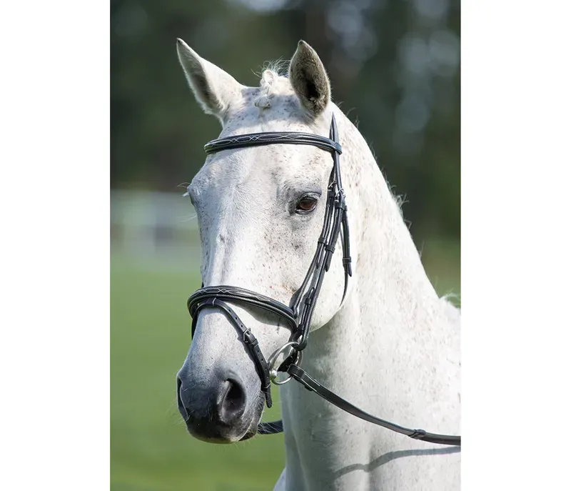 Avignon Padded Raised Flash Bridle in Black