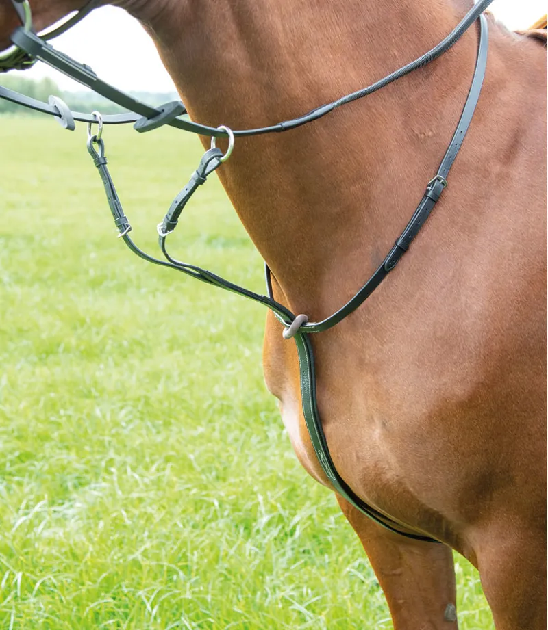 Shires Avignon Running Martingale BLACK