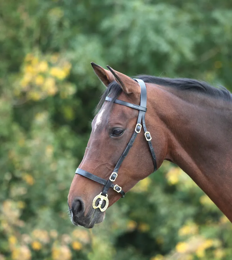 Shires Velociti GARA Plain Inhand Bridle HAVANA