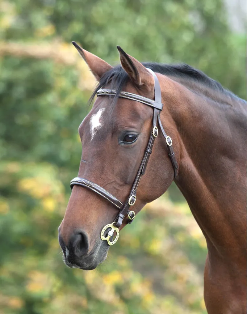 Shires Velociti GARA Fancy Stitched Inhand Bridle BLACK