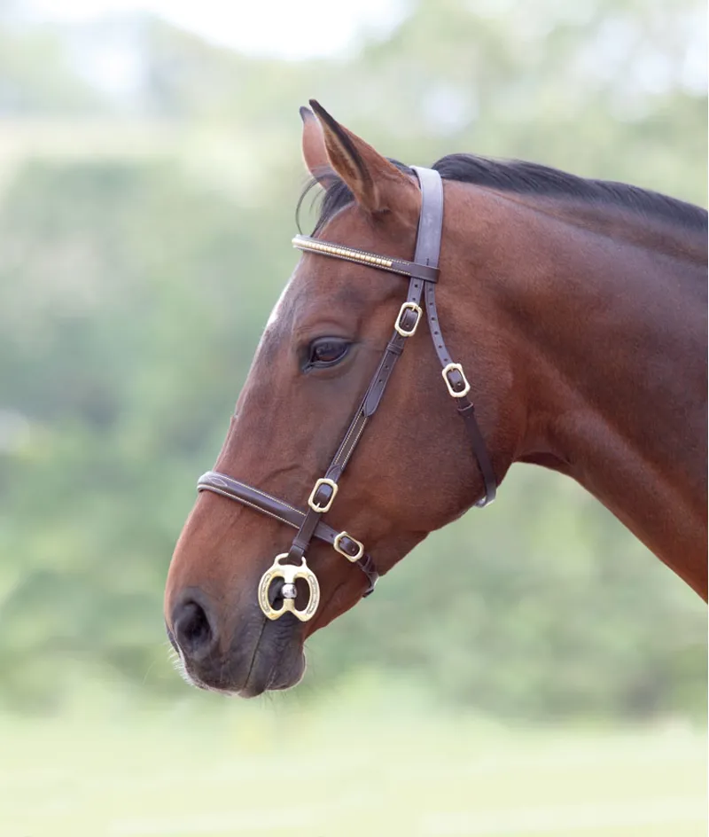 Velociti GARA Clincher Inhand Bridle HAVANA