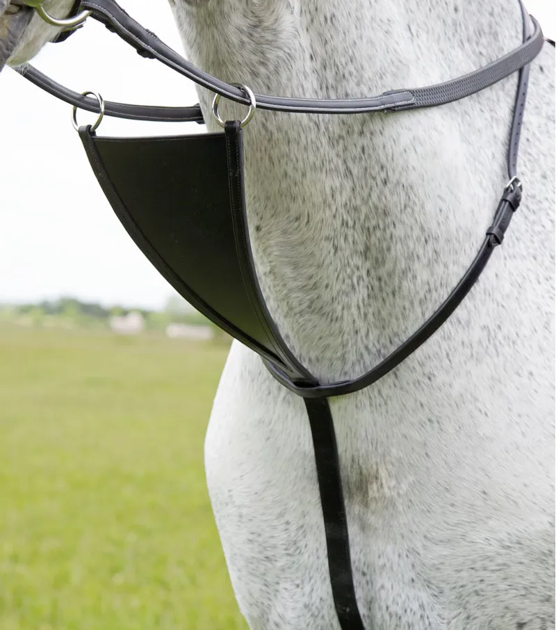 Velociti GARA Bib Martingale HAVANA