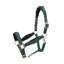 Arma Padded Headcollar in Green