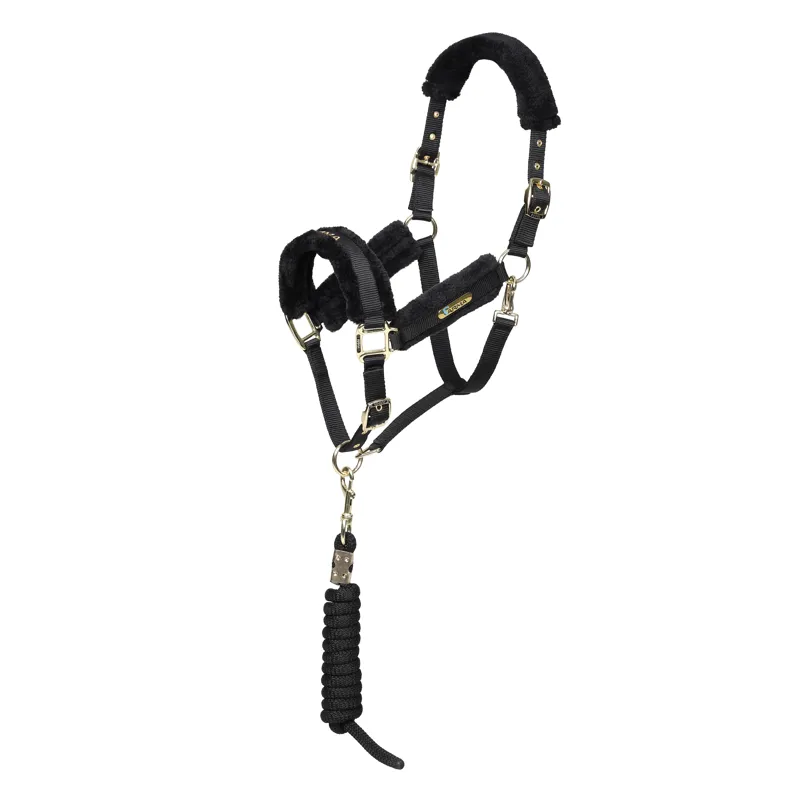 Arma Logo Headcollar and Lead Rope in Black