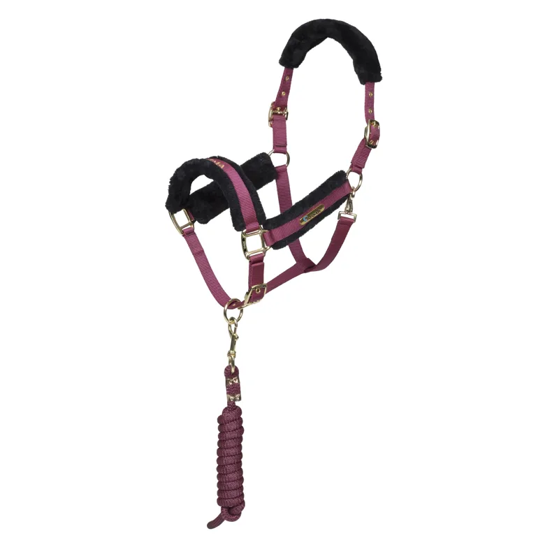 Arma Logo Headcollar and Lead Rope in Burgundy