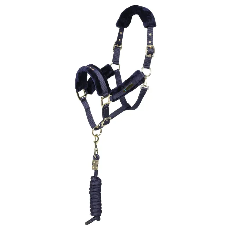Arma Logo Headcollar and Lead Rope in Navy
