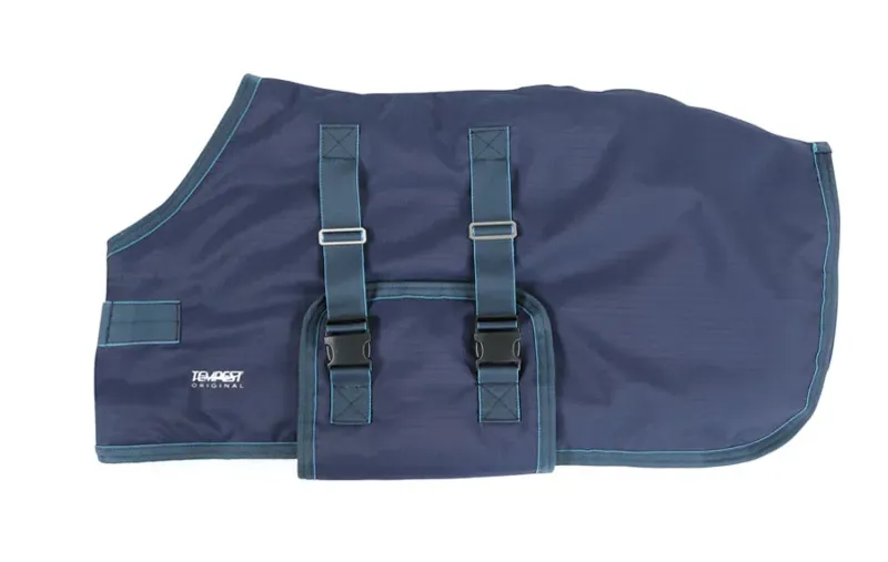 Tempest Original 200 Foal Turnout Rug NAVY/TURQUOISE