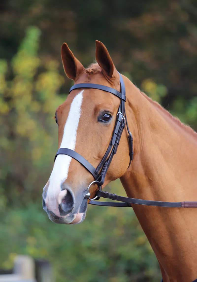 Shires Velociti GARA Plain Bridle Black