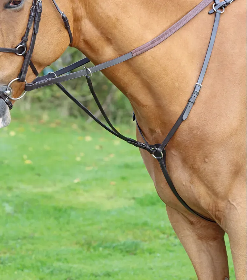 Shires Velociti GARA Hunt Weight Breastplate Black