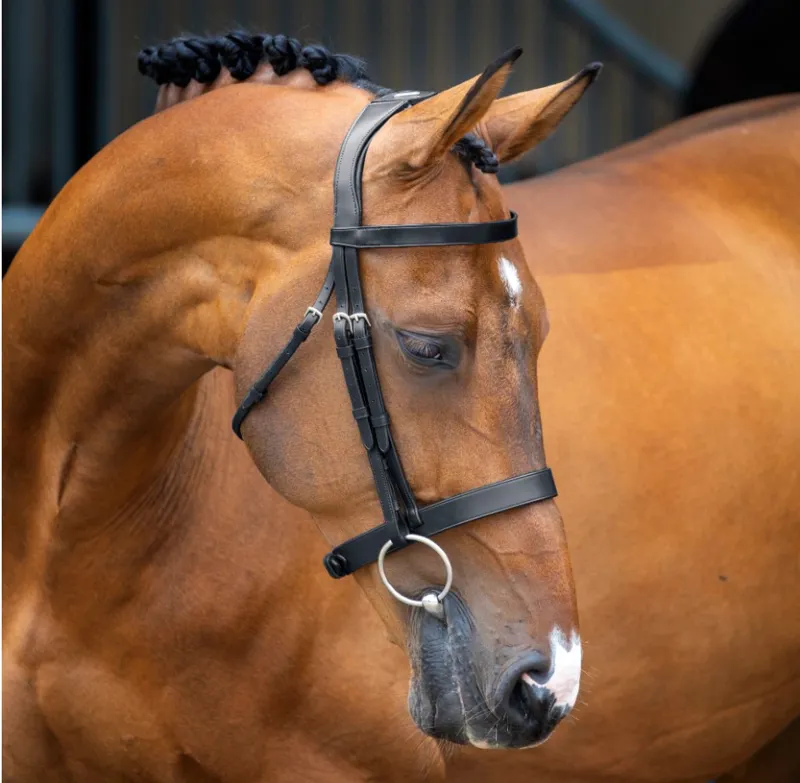 Lusso Hunter Cavesson Bridle BLACK