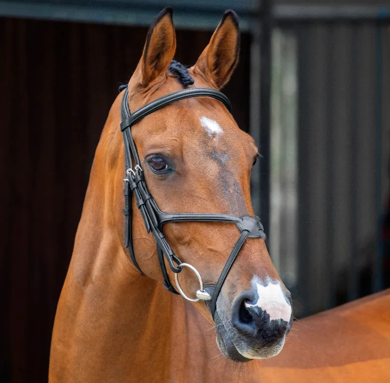 Shires Lusso Grackle Bridle BLACK