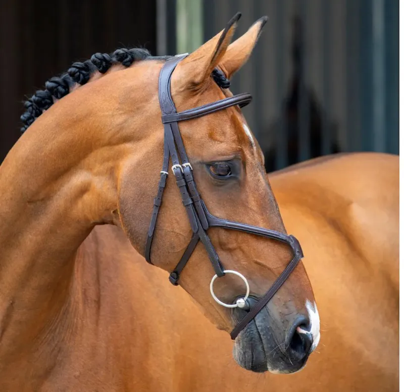 Lusso Grackle Bridle HAVANA