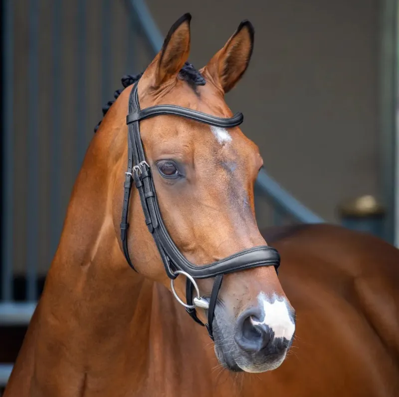 Lusso Ergonomic Curved Flash Bridle BLACK