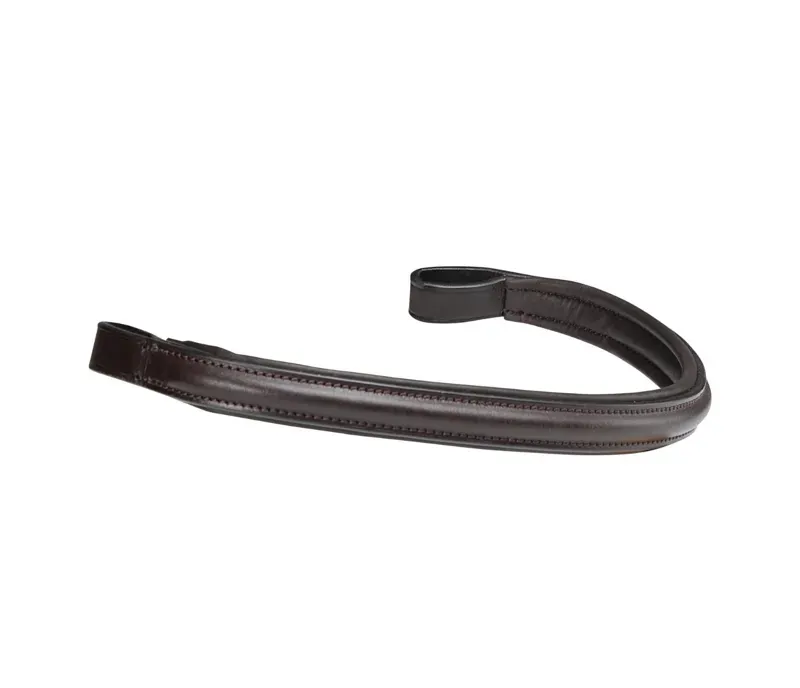 Velociti Rapida Padded Browband in Havana