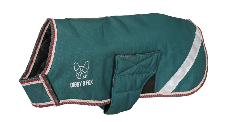 Digby and Fox XXS Waterproof Dog Coat in Forest