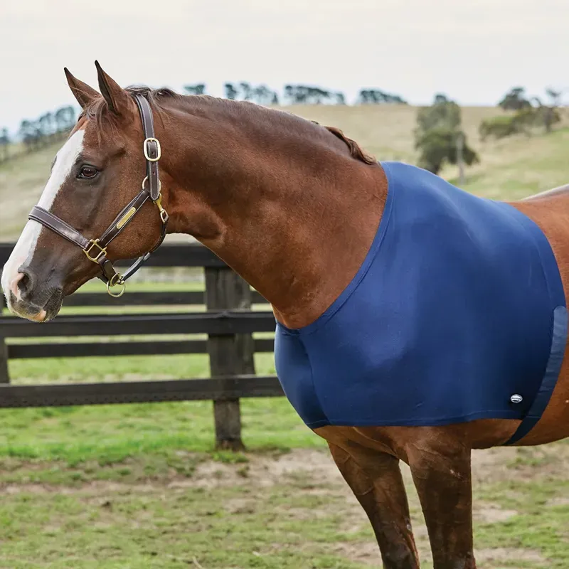 WeatherBeeta Stretch Shoulder Guard in Navy