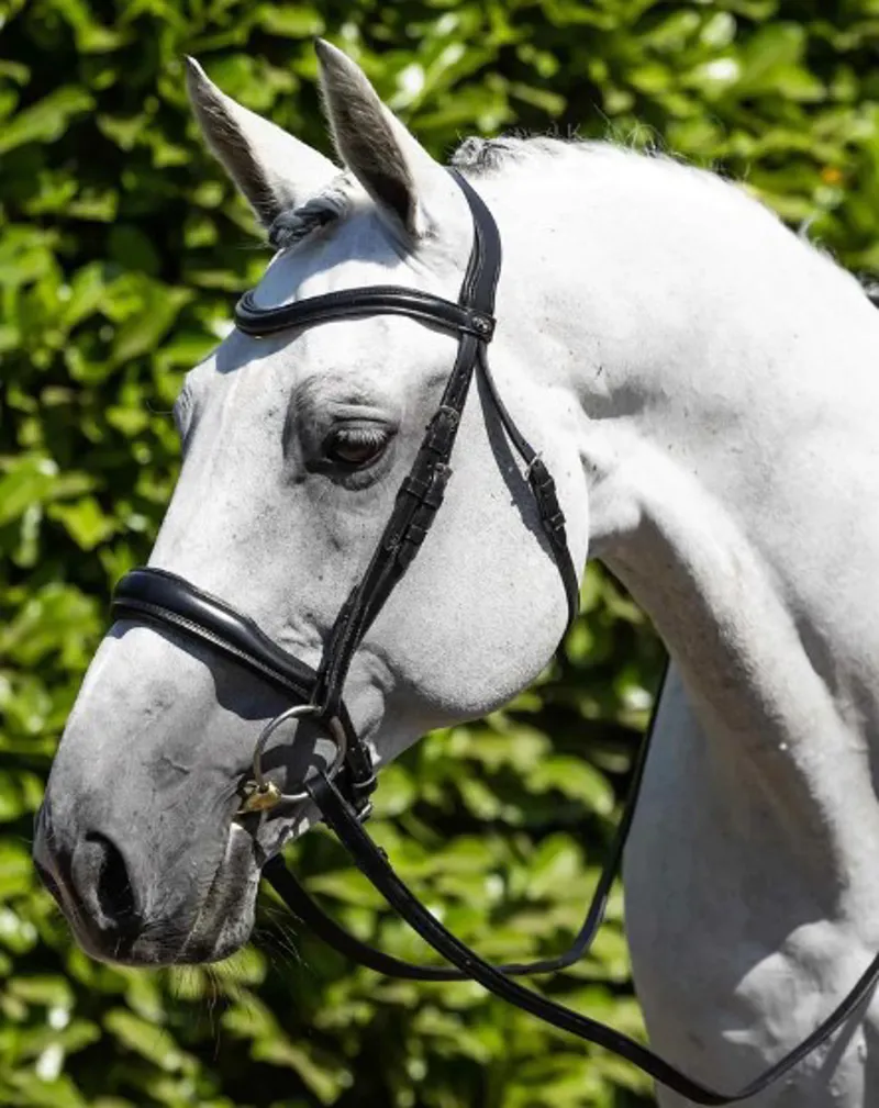 Premier Equine Verdura Anatomic Snaffle Bridle in Black