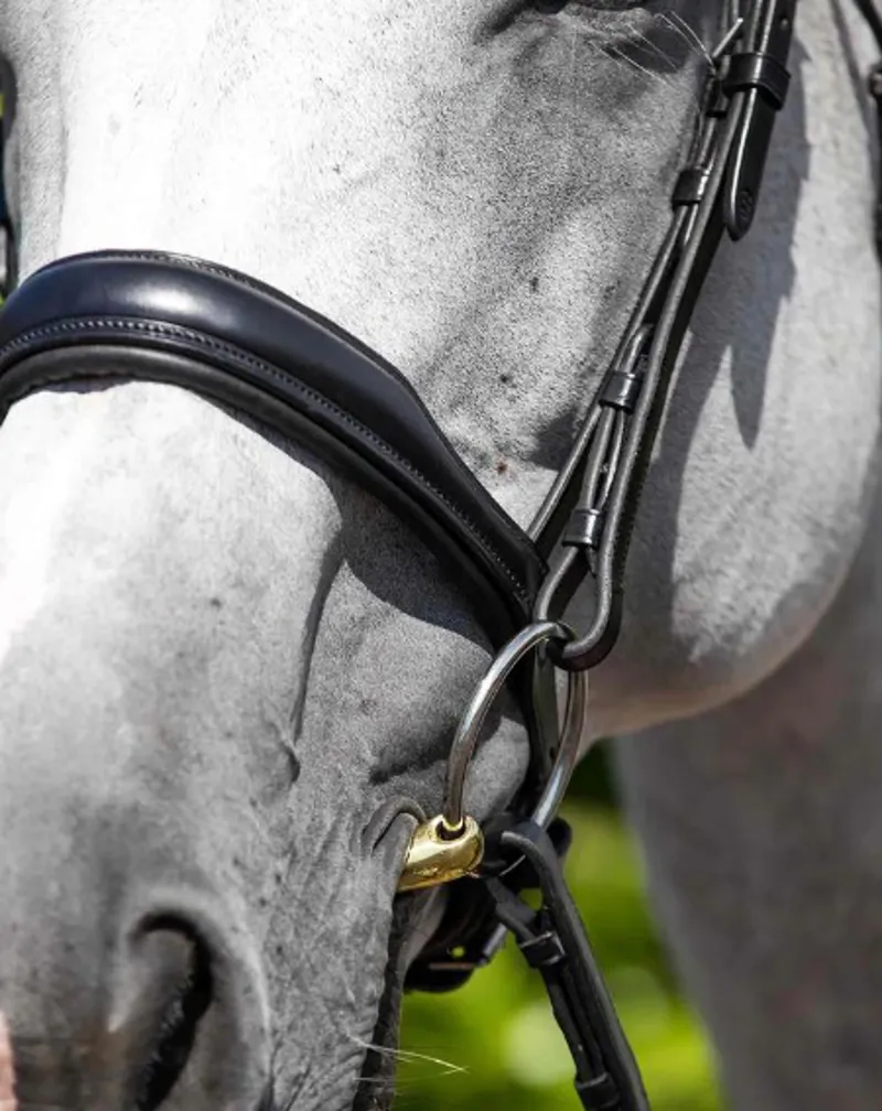 Premier Equine Verdura Anatomic Snaffle Bridle in Black-3
