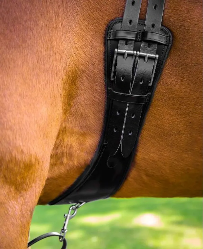 Tamarro Anatomic Leather Girth in Black-1