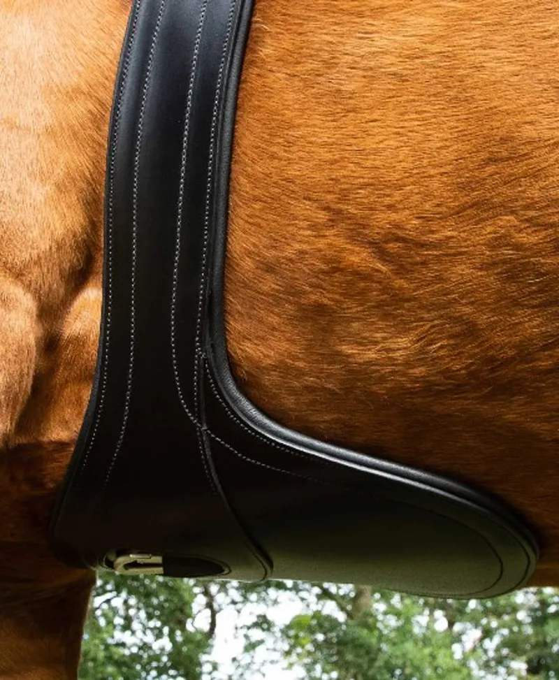 Lizzano Anatomic Leather Girth in Black-1