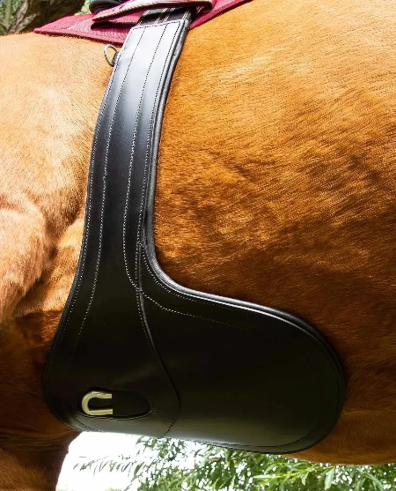 Lizzano Anatomic Leather Girth in Black-2