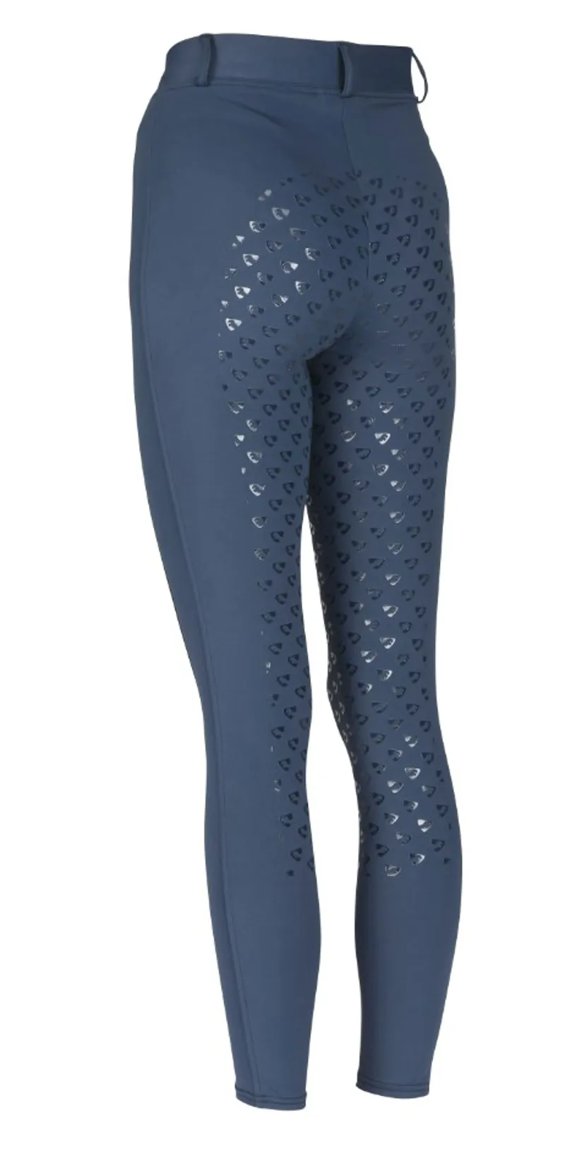 Aubrion Albany Riding Tights in Navy-1