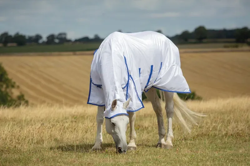 Shires Highlander Plus Fly Sheet Combo Rug White
