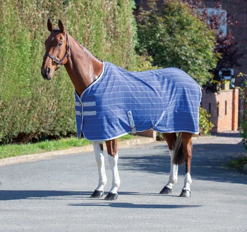 Tempest Original Stable Sheet INK