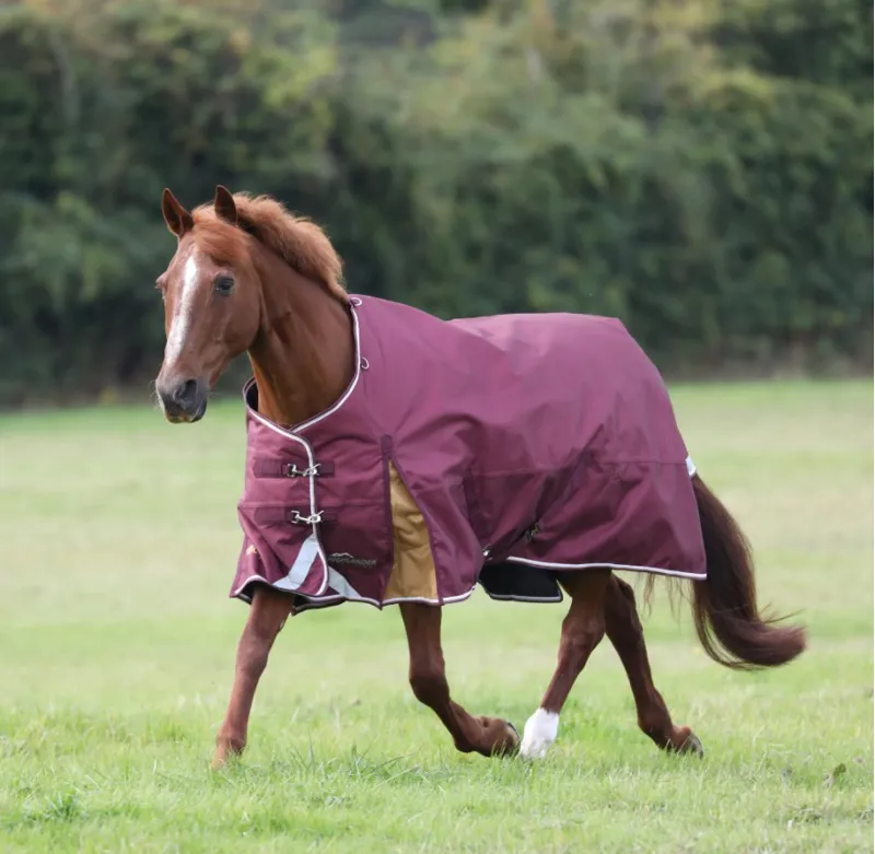 Highlander Plus 100 Turnout Rug MAROON