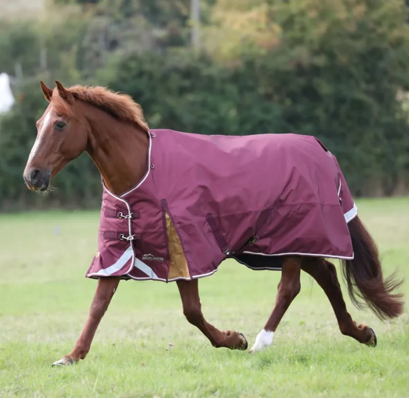 Highlander Plus 100 Turnout Rug MAROON-1